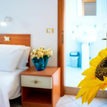 Hotel Albergo Nuova Aurora 2*