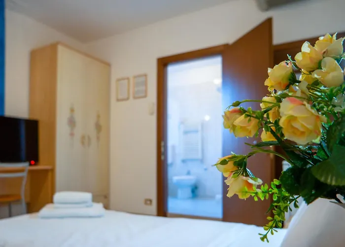 Hotel New Aurora Venice 2*