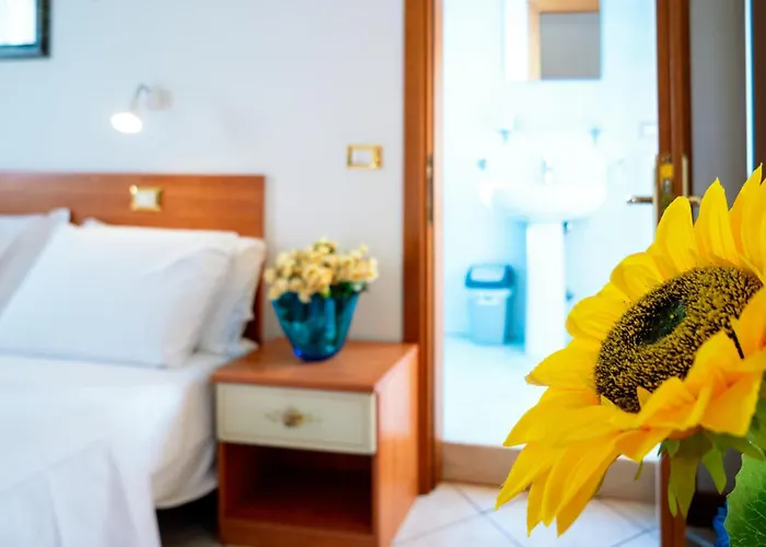 Hotel New Aurora Venice 2*